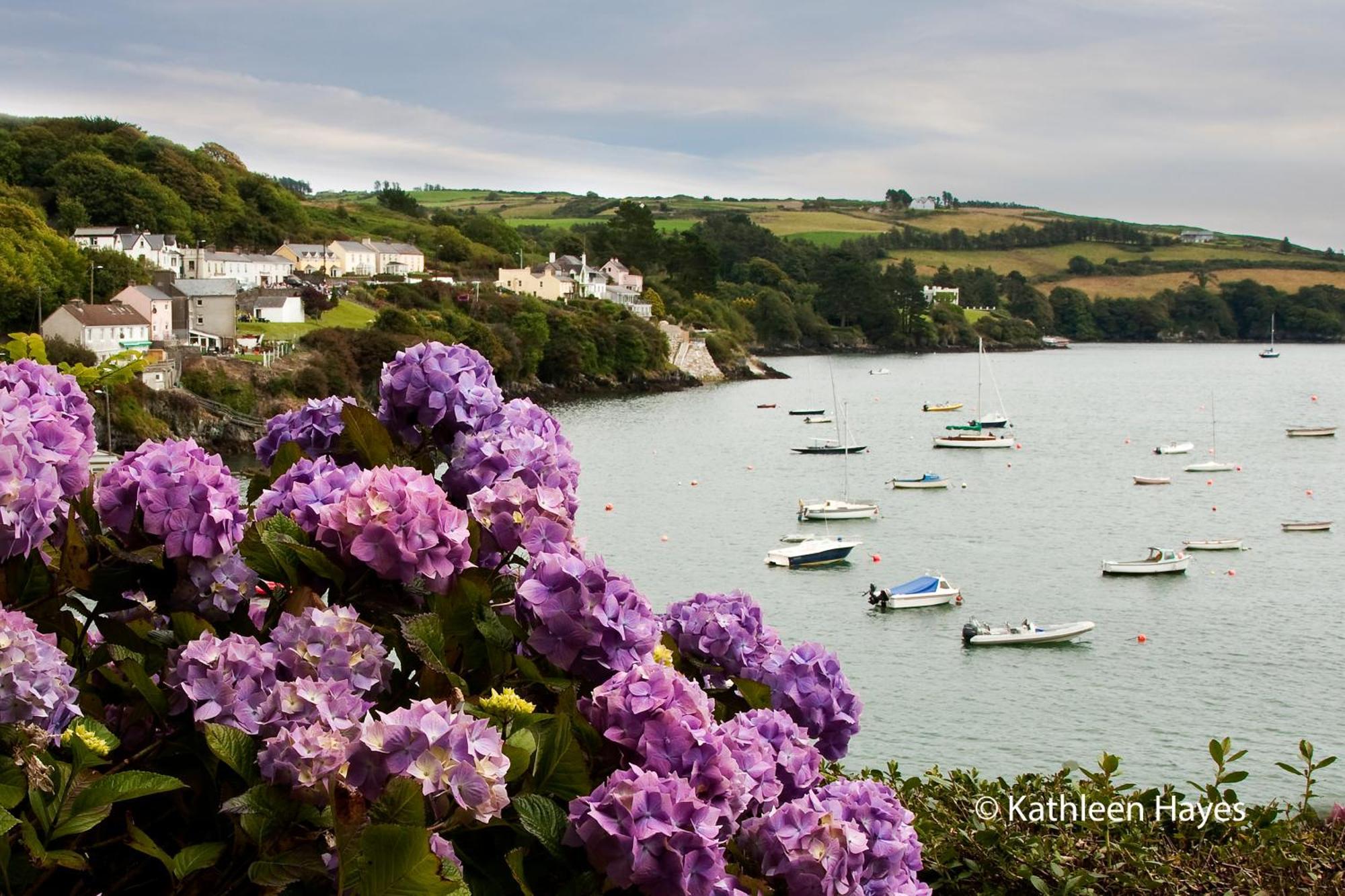 Bay View B&B Glandore Pokoj fotografie